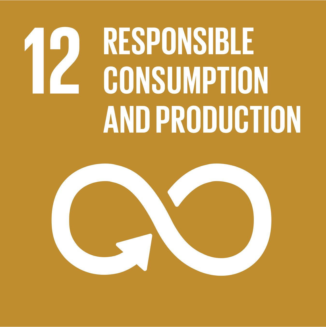SDG Goal 12